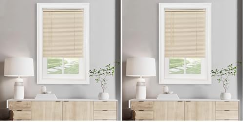 Cordless Mini Blind